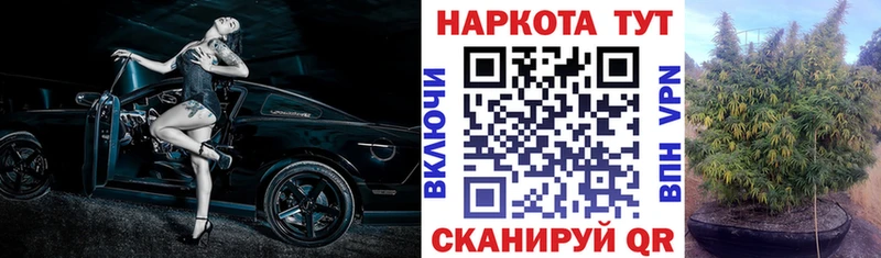 Магазины продажи наркотиков Нальчик APVP  kraken маркетплейс  АМФЕТАМИН  Cocaine  Галлюциногенные грибы  Гашиш  Мефедрон 