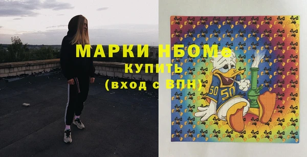 крисы Володарск