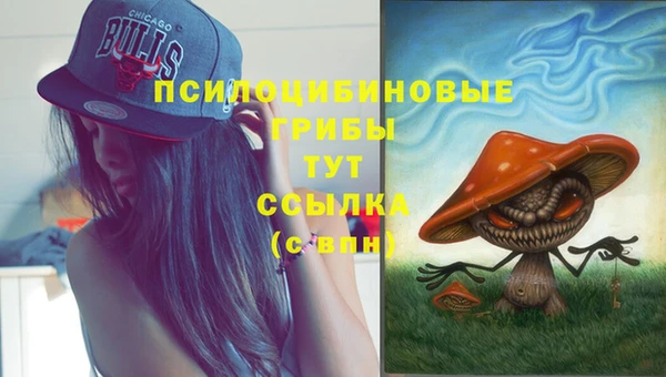 крисы Володарск