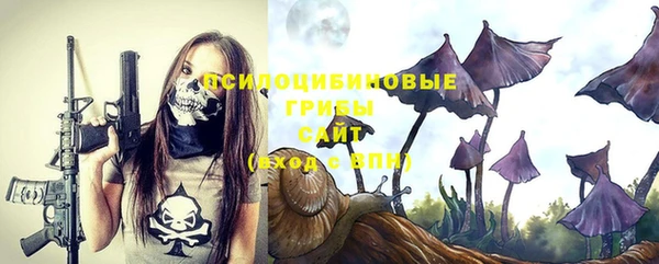 крисы Володарск