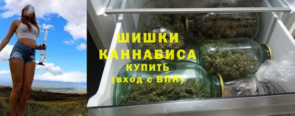 крисы Володарск